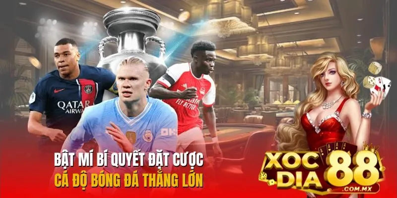 Tham khảo chiến thuật cá độ bóng đá hiệu quả Tham khảo chiến thuật cá độ bóng đá hiệu quả