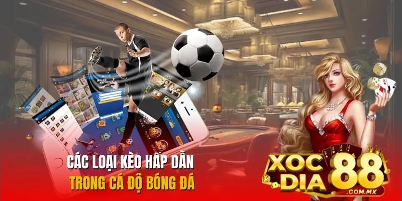 Tổng hợp các loại kèo phổ biến trong cá độ Tổng hợp các loại kèo phổ biến trong cá độ