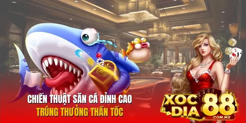 Mẹo chơi bắn cá thắng đậm từ cao thủ Mẹo chơi bắn cá thắng đậm từ cao thủ