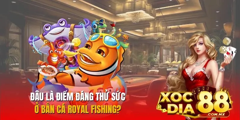 Điểm hấp dẫn nào đáng để trải nghiệm ở Bắn Cá Royal Fishing Điểm hấp dẫn nào đáng để trải nghiệm ở Bắn Cá Royal Fishing