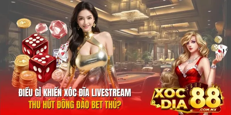 Vài nét cơ bản về xóc đĩa livestream Vài nét cơ bản về xóc đĩa livestream