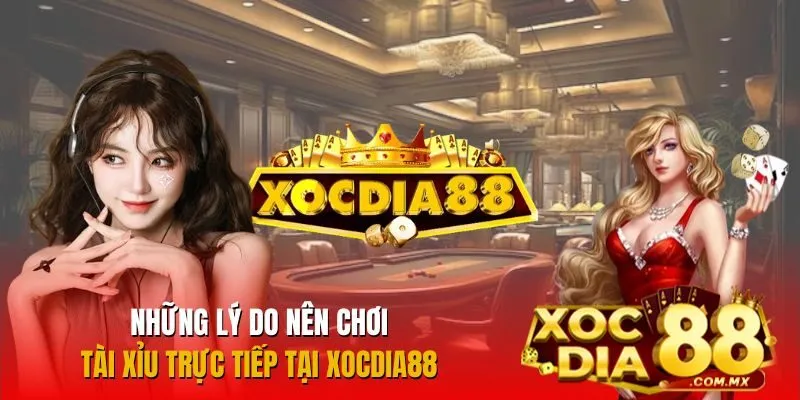 Vì sao nên trải nghiệm Tài Xỉu trực tiếp tại Xocdia88? Vì sao nên trải nghiệm Tài Xỉu trực tiếp tại Xocdia88?