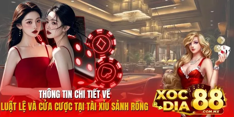 Quy tắc và cách đặt cược trong Tài Xỉu Sảnh Rồng Quy tắc và cách đặt cược trong Tài Xỉu Sảnh Rồng