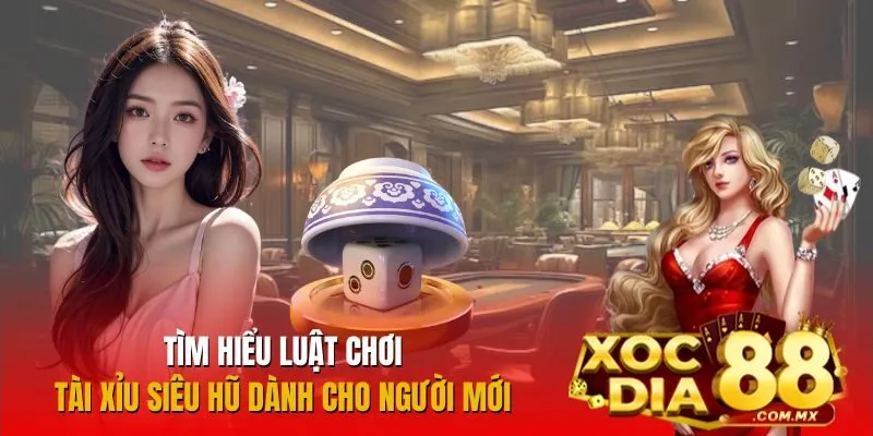 Tìm hiểu cách chơi Tài Xỉu Siêu Hũ chi tiết Tìm hiểu cách chơi Tài Xỉu Siêu Hũ chi tiết
